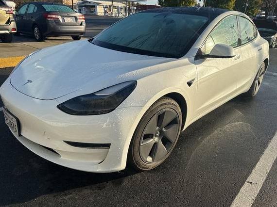 TESLA MODEL 3 2023 5YJ3E1EA0PF612362 image